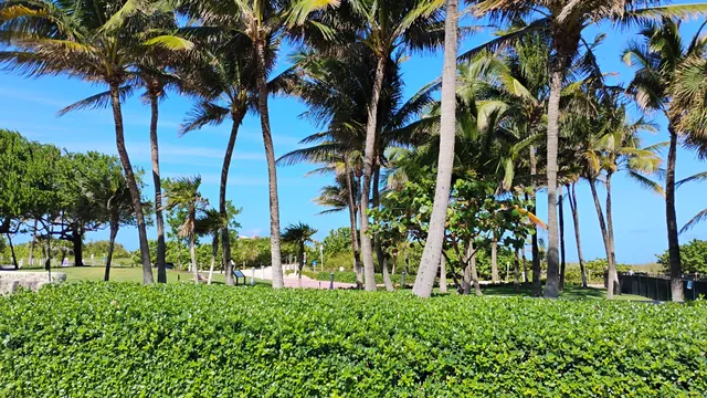 Miami Beach Parking Lot (P81)