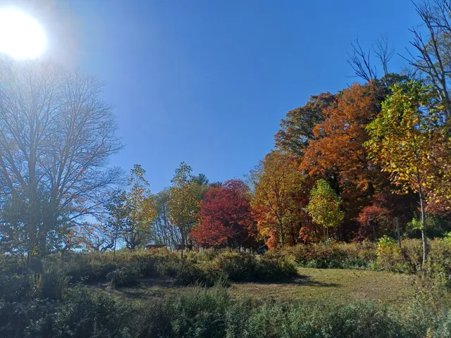 Camphill Village Kimberton Hills