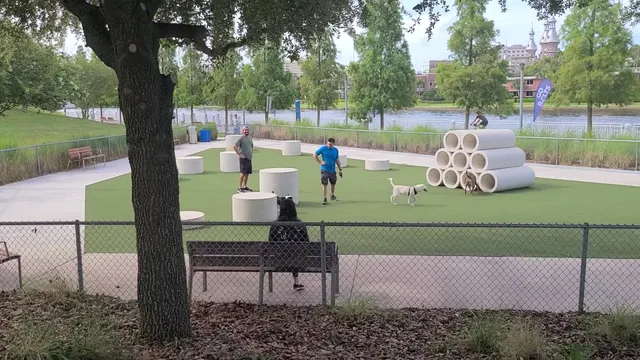 Curtis Hixon Waterfront Park Dog Park