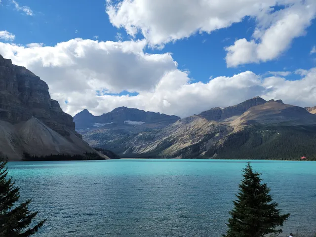 Bow Lake Viewpoint