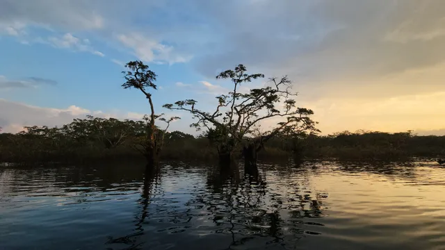 Reserva de producción de Fauna Cuyabeno