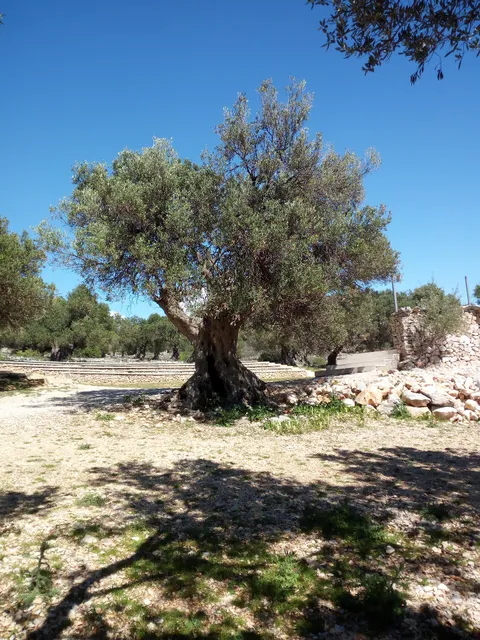 Apartments Krušvina