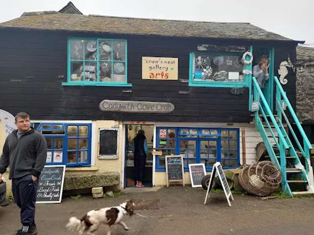 Cadgwith Cove Crab