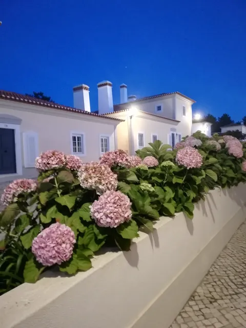 5707/AL Vila dos Príncipes B22