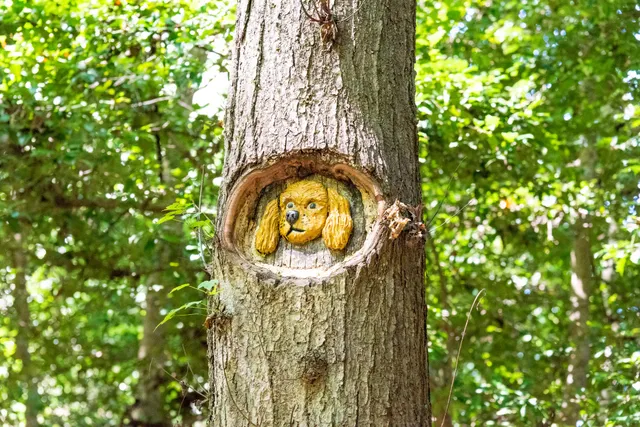 Tom Rhodes Tree Carving Trail