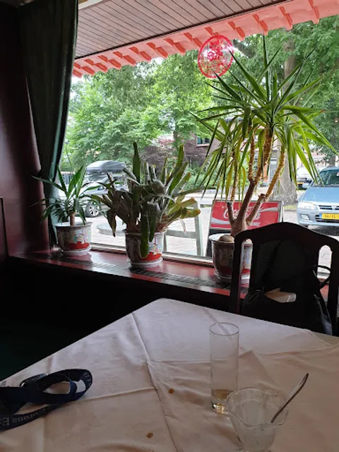 Yang's Garden Chinees Indisch Restaurant