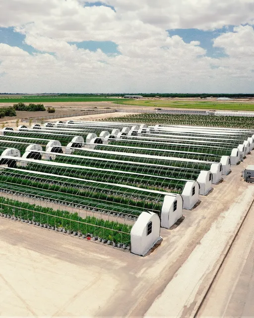 Pecos Valley Production - Dispensary & Wholesale