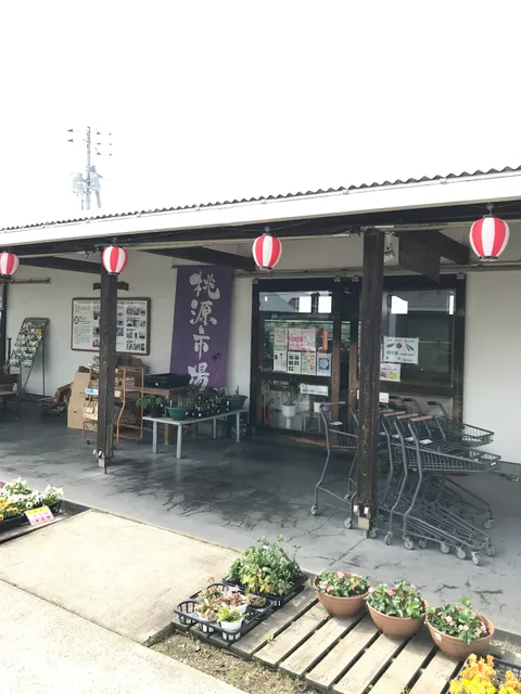 桃源直売所 ドーム店