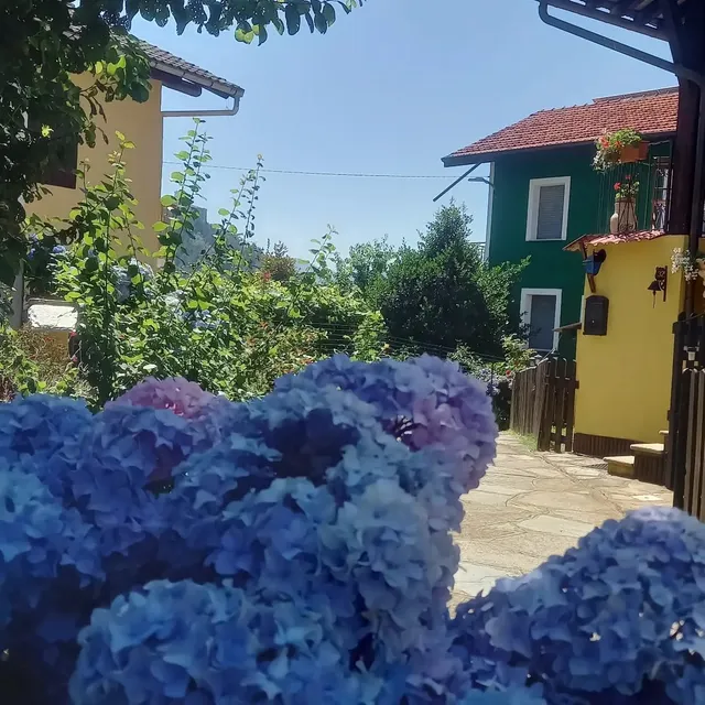 Trekker’s Home Natura e Ospitalità L'infinito