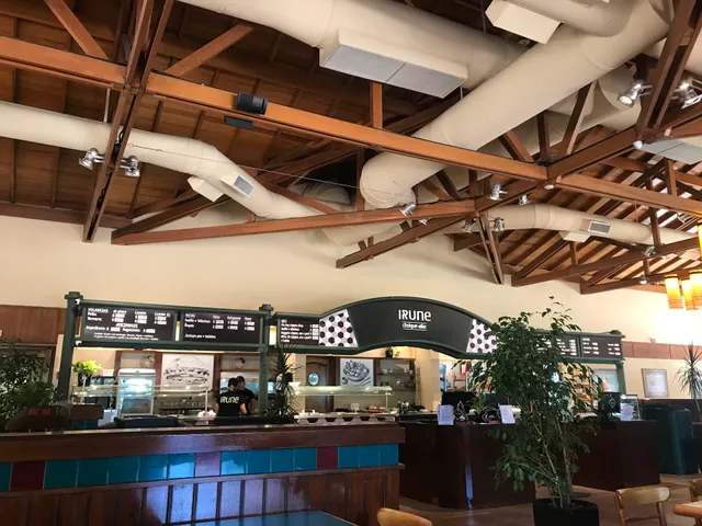 Choique Aike by Irune