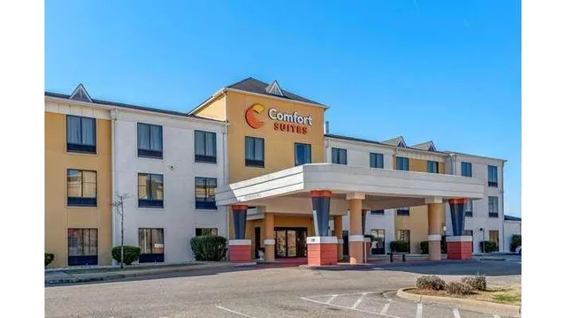 Comfort Suites Airport South