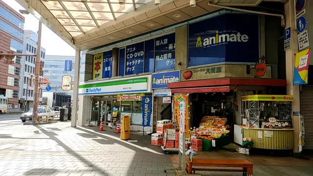 Animeito Kochi