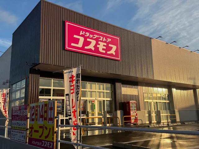 Cosmos Itagakimise Pharmacy