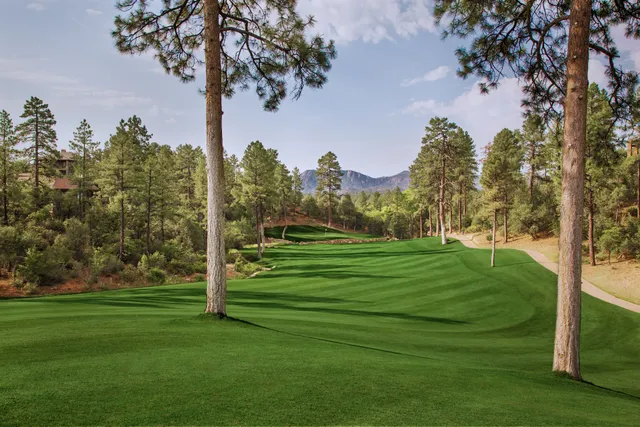 The Golf Club at Chaparral Pines