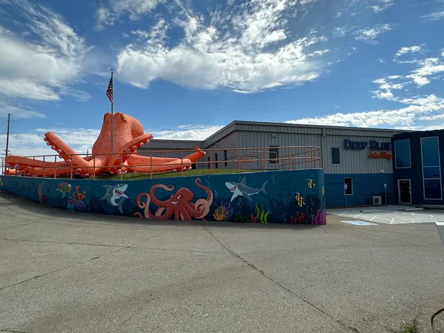 Deep Blue Indoor Play