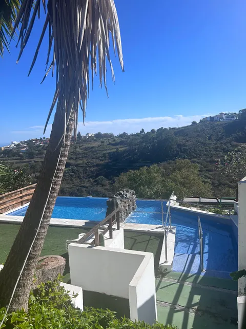 "Los Viejitos en Firgas"