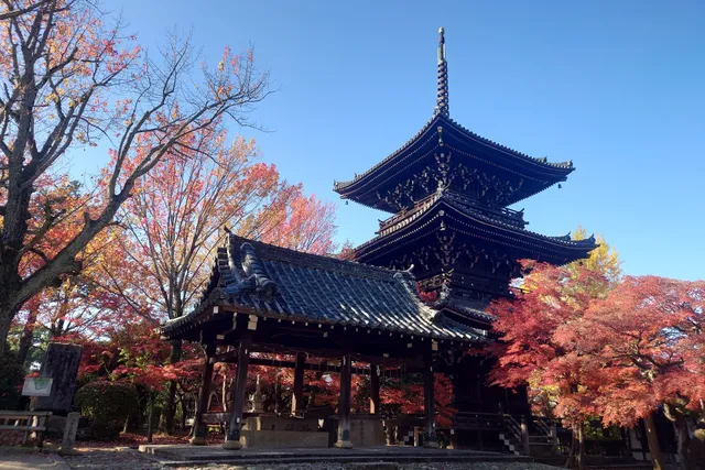 Shinshō Gokurakuji (Shinnyodō) Temple