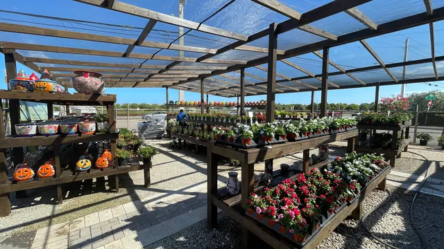 Laguna Bay Nursery Inc