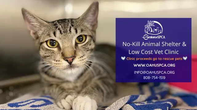 Oahu SPCA Veterinary Clinic and Animal Shelter