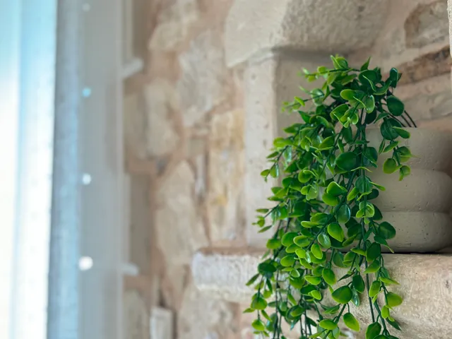 Cretan Nature Stone Apartment