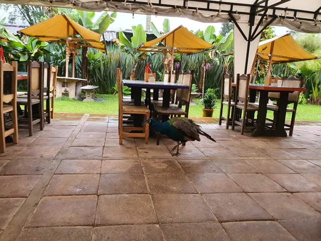 Restaurante Donde Laurita Campestre