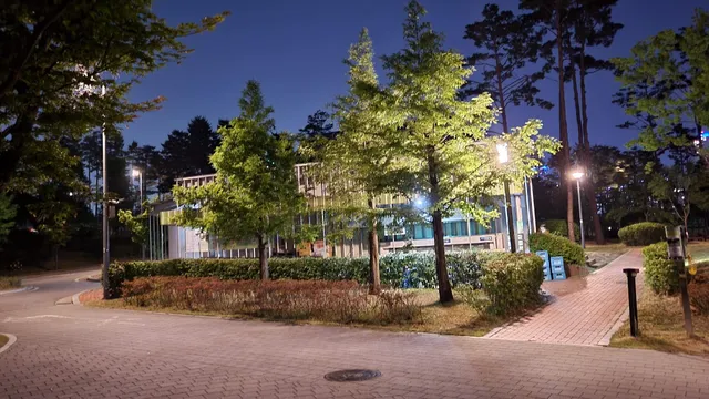 Gwanggyo Lake Park Family Camping