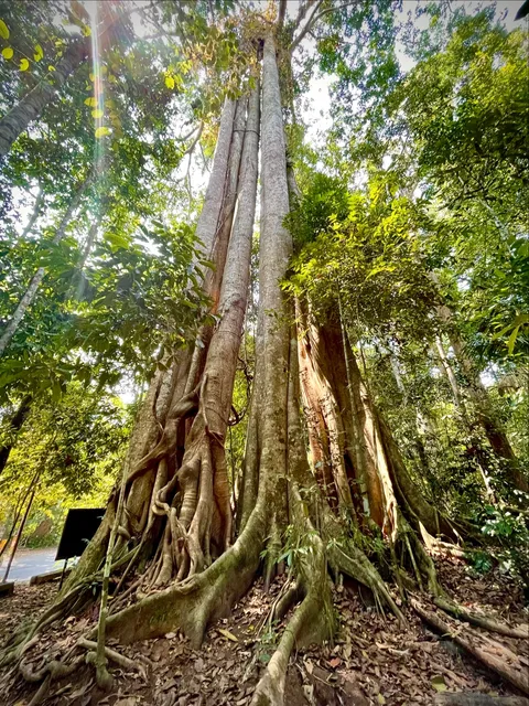 Greenleaf Guesthouse & Tour