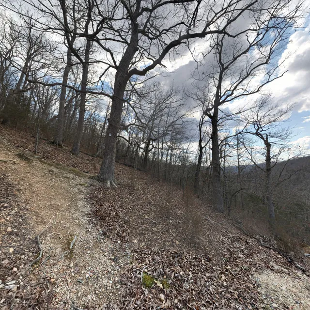 Roaring River Spring