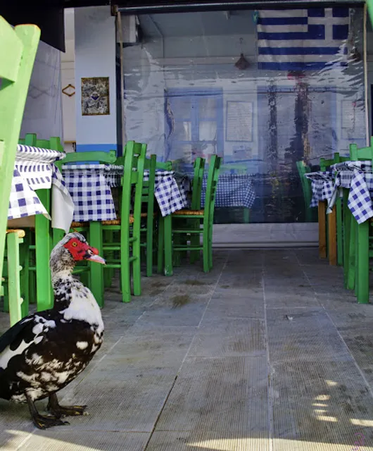 Το Στέκι του Ψαρά