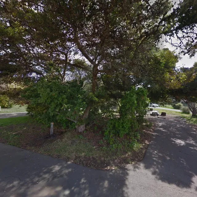 Portola Group Campsite