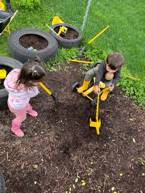 Wild Roots Explorers