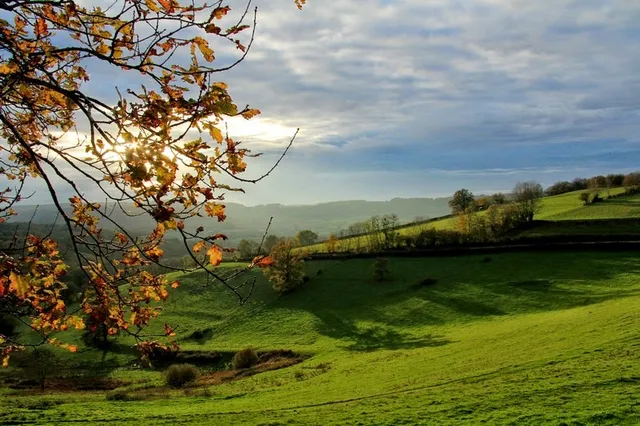 Parc naturel régional du Morvan
