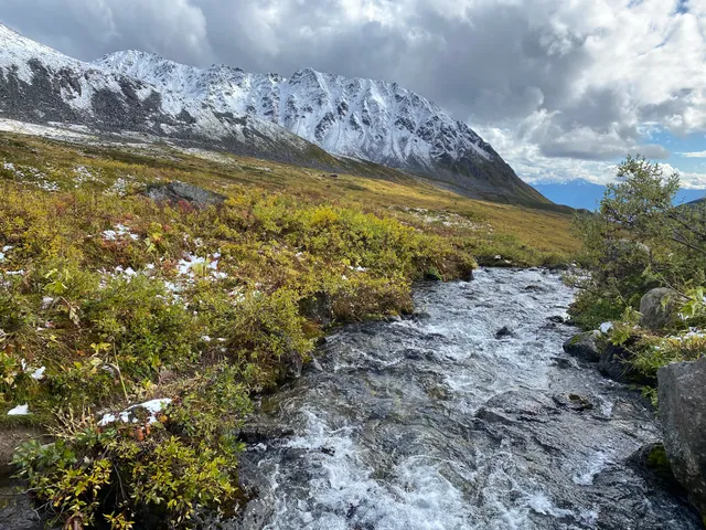 Gold Cord Lake Trailhead