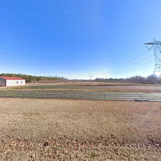 Little Market at Red Hill Orchard