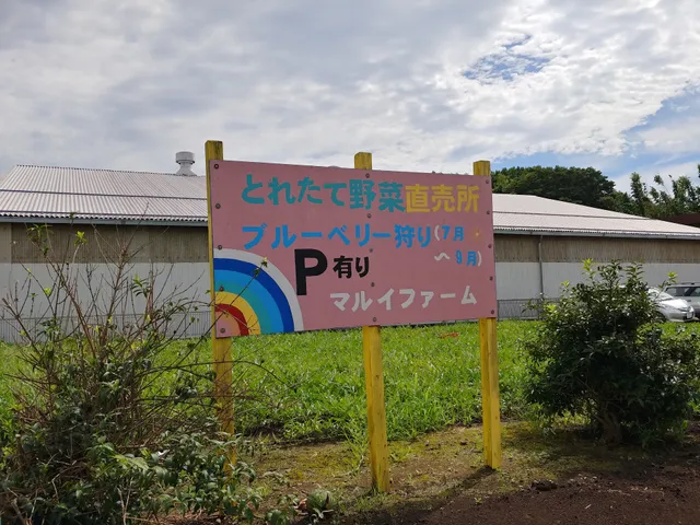 Marui farm