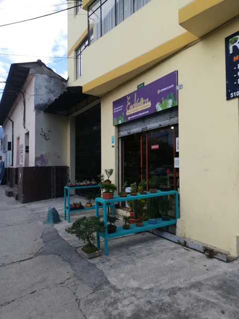 Endémica - Tienda Orgánica y Artesanal