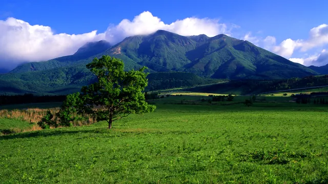 Kuju Kogen Observatory