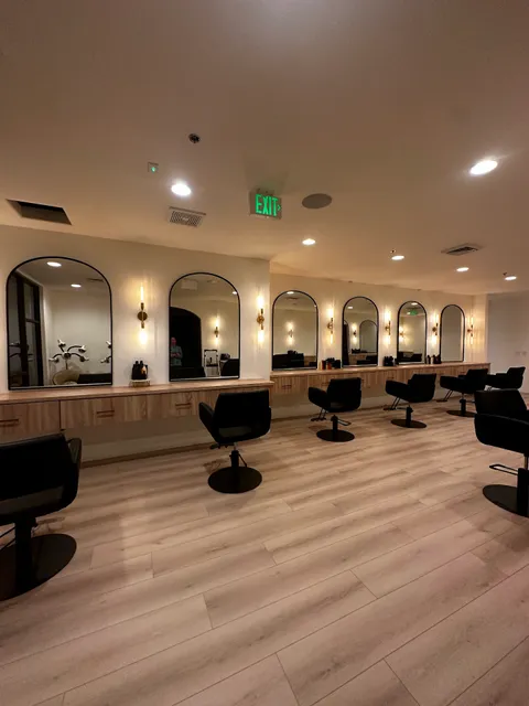 Wilde Willow Salon