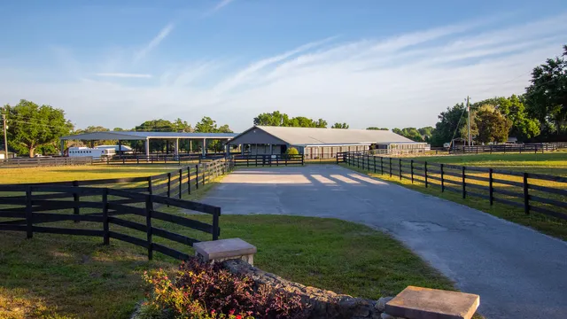 Chestnuthill Arabians