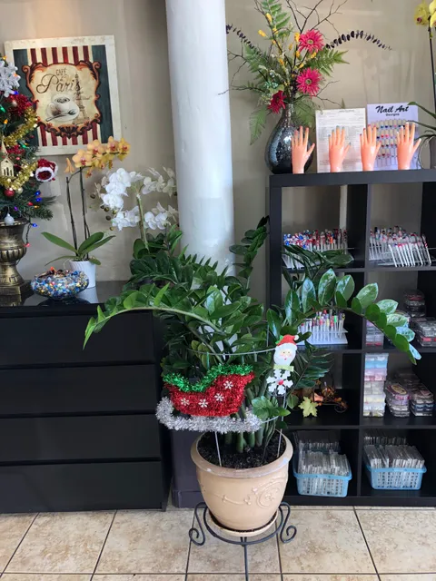 AZ Tip & Toe Nail Spa