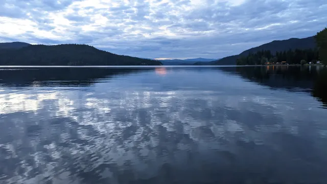 Area H (Canim Lake/Forest Grove)