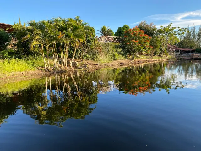 Casa Pitanga - Gravatá