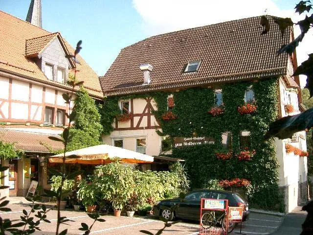 Hotel-Gasthof Fritz´es Goldener Stern