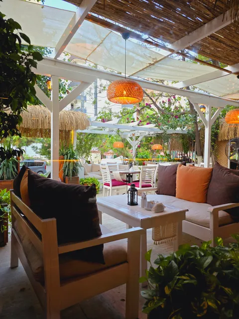 Anarkali Restaurant Indian Pakistani Cuisine Delicious Desi Food