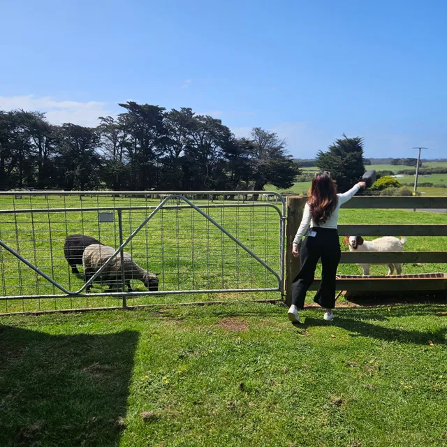 The Little Grey Farm Stay