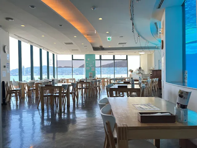 イルカの見えるレストラン