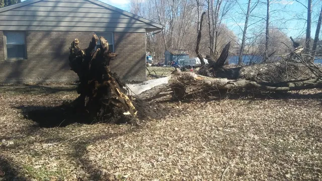 Willow Lakes Party Store-Motel