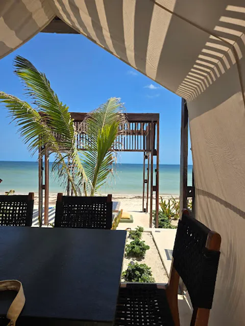 PlayaViva - Living Beach Club