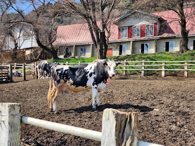 Hattori Dairy Farm