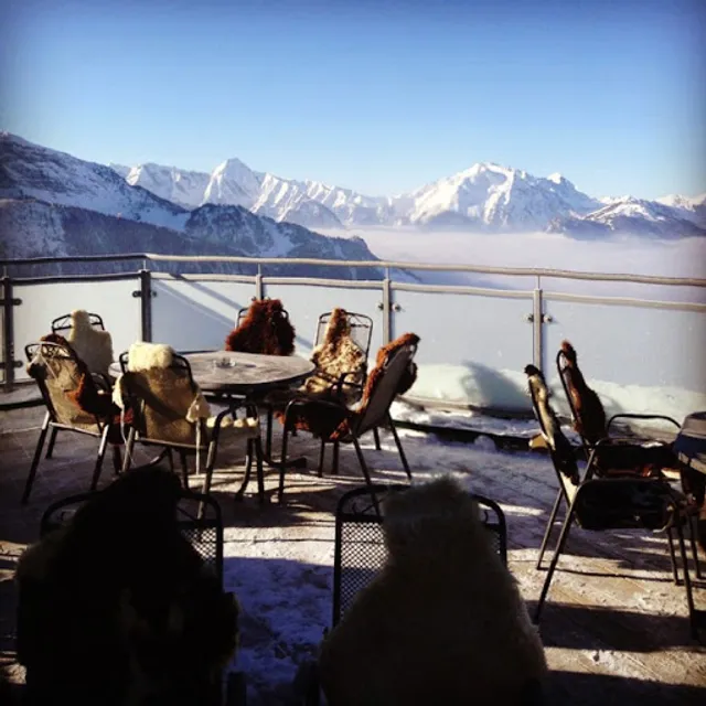 Schnitzelhütte Erlebnisgastronomie